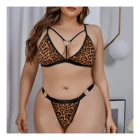 Hot Style Lace Erotic Transparent Leopard Print Sexy Plus Size Underwear Lingerie Women Set
