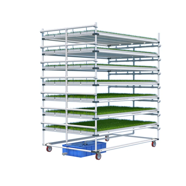 Lyine Commercial Microgreen Growing System Hydroponic Pvc Rack For