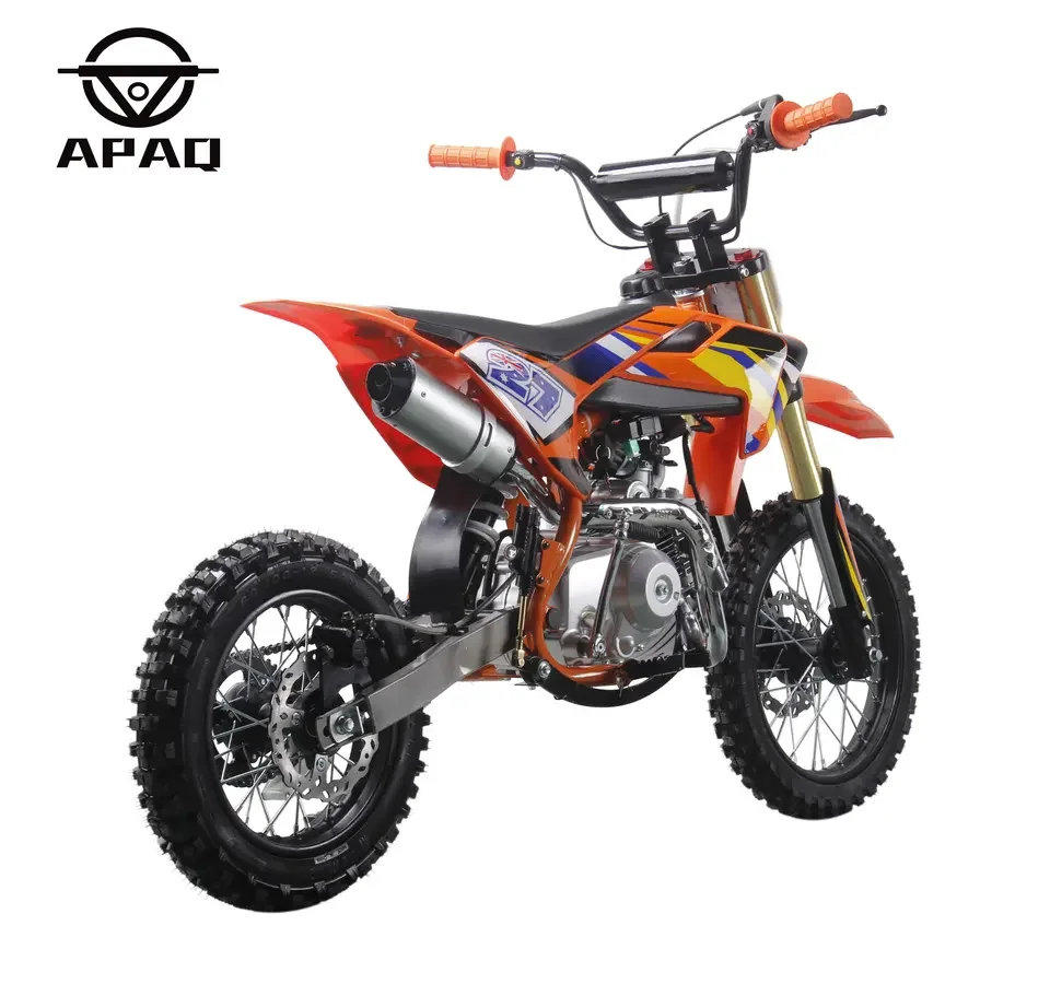 125cc Mini Motorcycle Four Stroke Kids Dirt Bike Kick Start Pit Bike