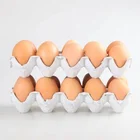 Egg Tray Wanyou High Quality Low Cost Small Waste Paper Pulp Egg Tray Machine
