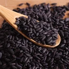 Rice Seeds Many Kinds Of High Germination Black Rice Seeds