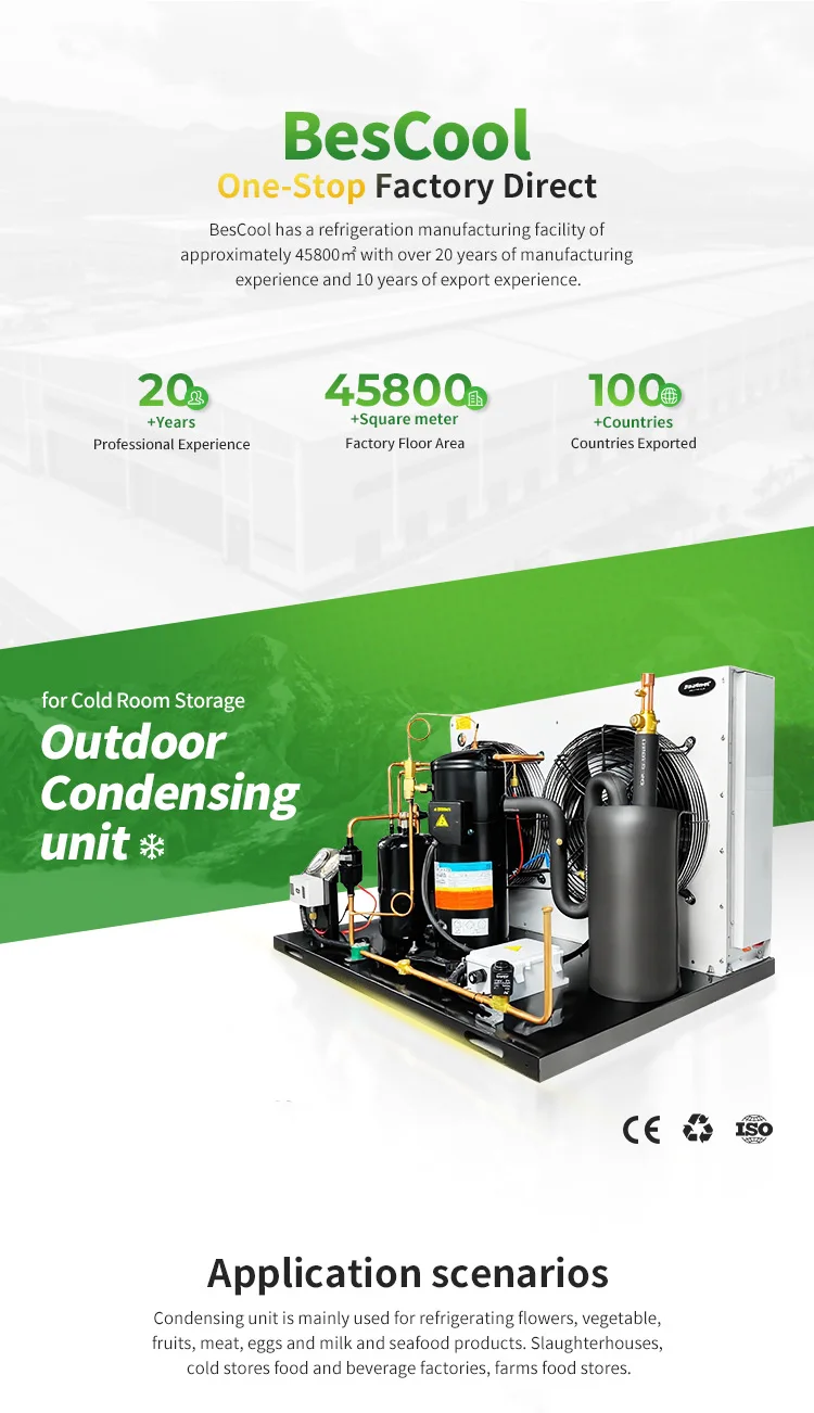 Cold Room Invotech Compressor, R22, R404A - detail 2