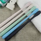 Toothbrush Toothbrush Supplier Wholesale Custom Biodegradable Eco Friendly Wheat Straw Toothbrush