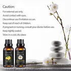 Gift In Stock Natural Pure Essential Oil Gift Set Lavender Peppermint Eucaluptus Tea Tree Sandalwood Essential Oi