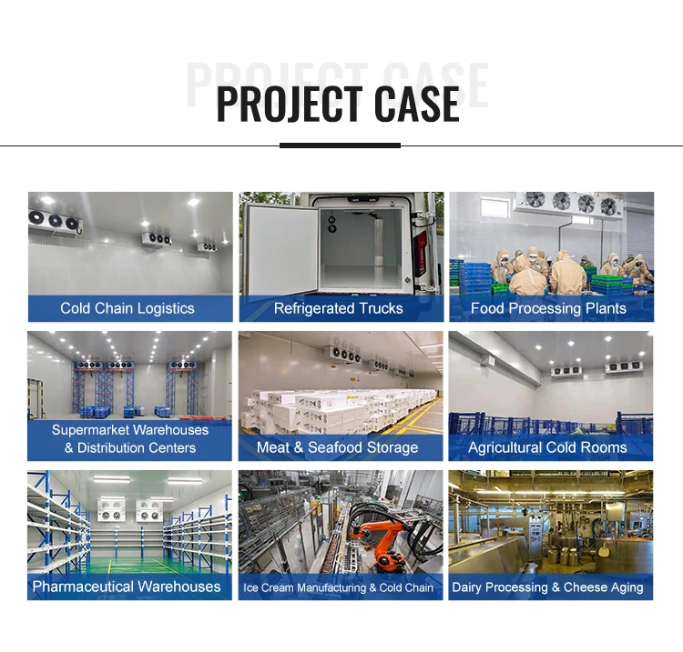 Blast Freezer, 220V - detail 58
