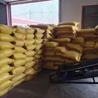 Superior Quality Corncob Clothes Boutique Corncob Sale Cheapness Corncob Raw Material