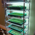 Chrome Wire Shelving NSF Approval 6 Tier Adjustable 800lbs Chrome Microgreens Growing Wire Shelving
