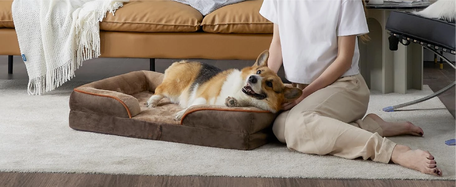 dog bed4