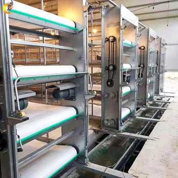 Poultry Battery Cage Chicken Manure Conveyor Belt