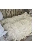 Fiber Natural Sisal Fiber In Perfect Quality For Sisal Cloth