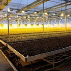 Rolling Table For Hot Sale Greenhouse Rolling Benches Ebb Flow Table For Commercial Agriculture