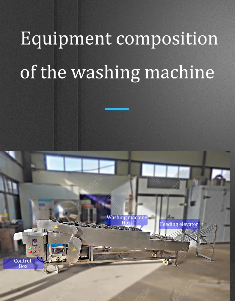 product automatic onion taro peanut sweet potato dry cleaning machine-3