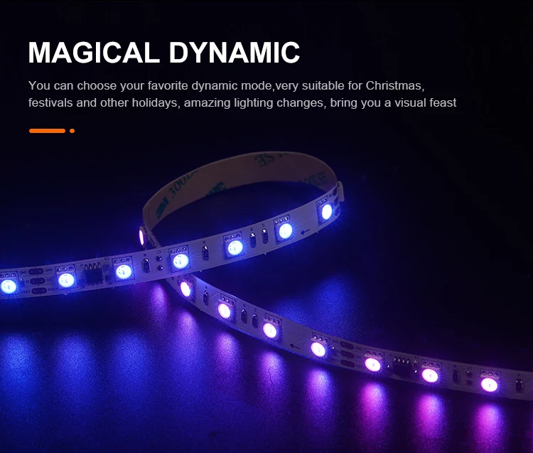 High Quality Indoor Decorative Colorful LED Strip SMD5050 60leds/m 24V 10mm RGB LED Light Strip supplier