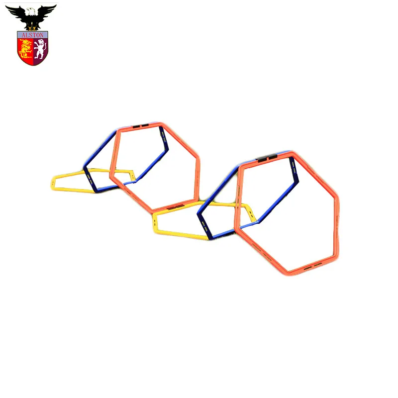 circle agility ladder