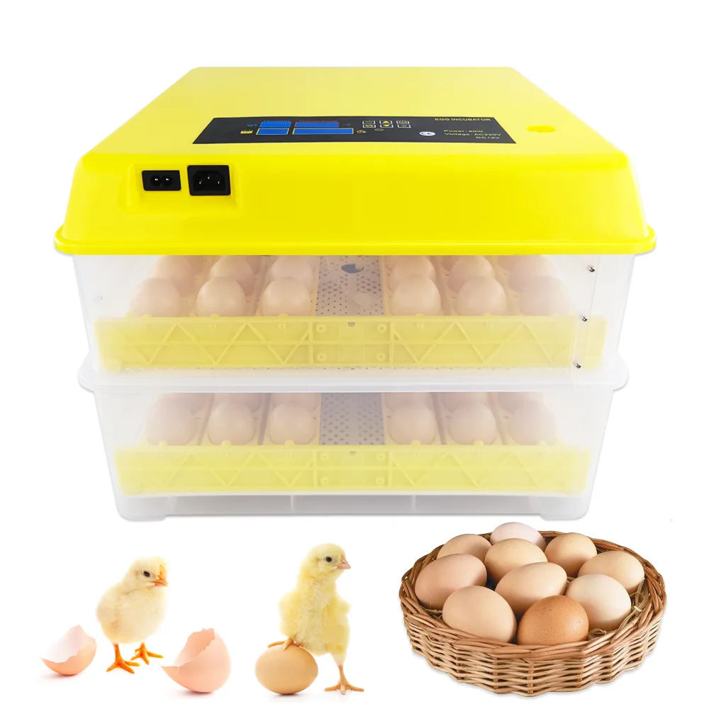 egg machine price