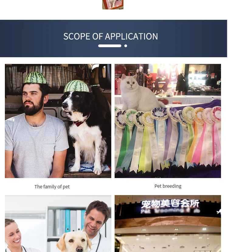 Automatic Pet Cat Grooming Hair Dryer Machine Large Smart Automatic Hair Blower Drying Box for Dogs