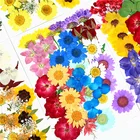 Nail Art Sticker 23 Designs Mix 3D Natural Dried Flower Nail Art Decoration Sticker