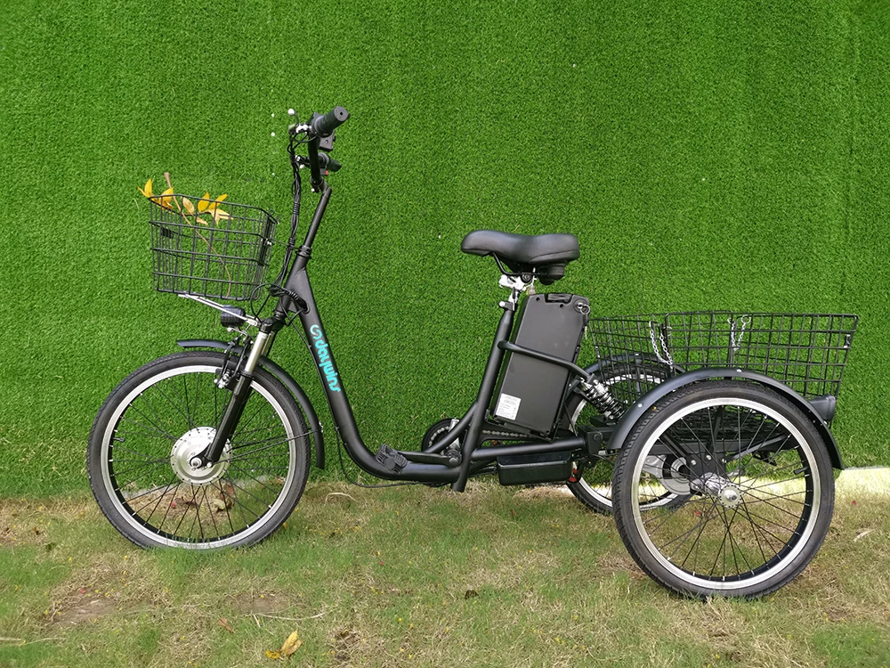 성인을 위한 전기 화물 세발자전거 전기 자전거 전기 세발자전거 3 바퀴 전기 스쿠터 세발자전거 Buy 전기 자전거 성인 전기