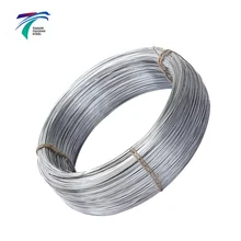 Wholesale Galvanized Iron Wire Hot Dipped Stainless Steel for Construction Cutting Service for Rope Use