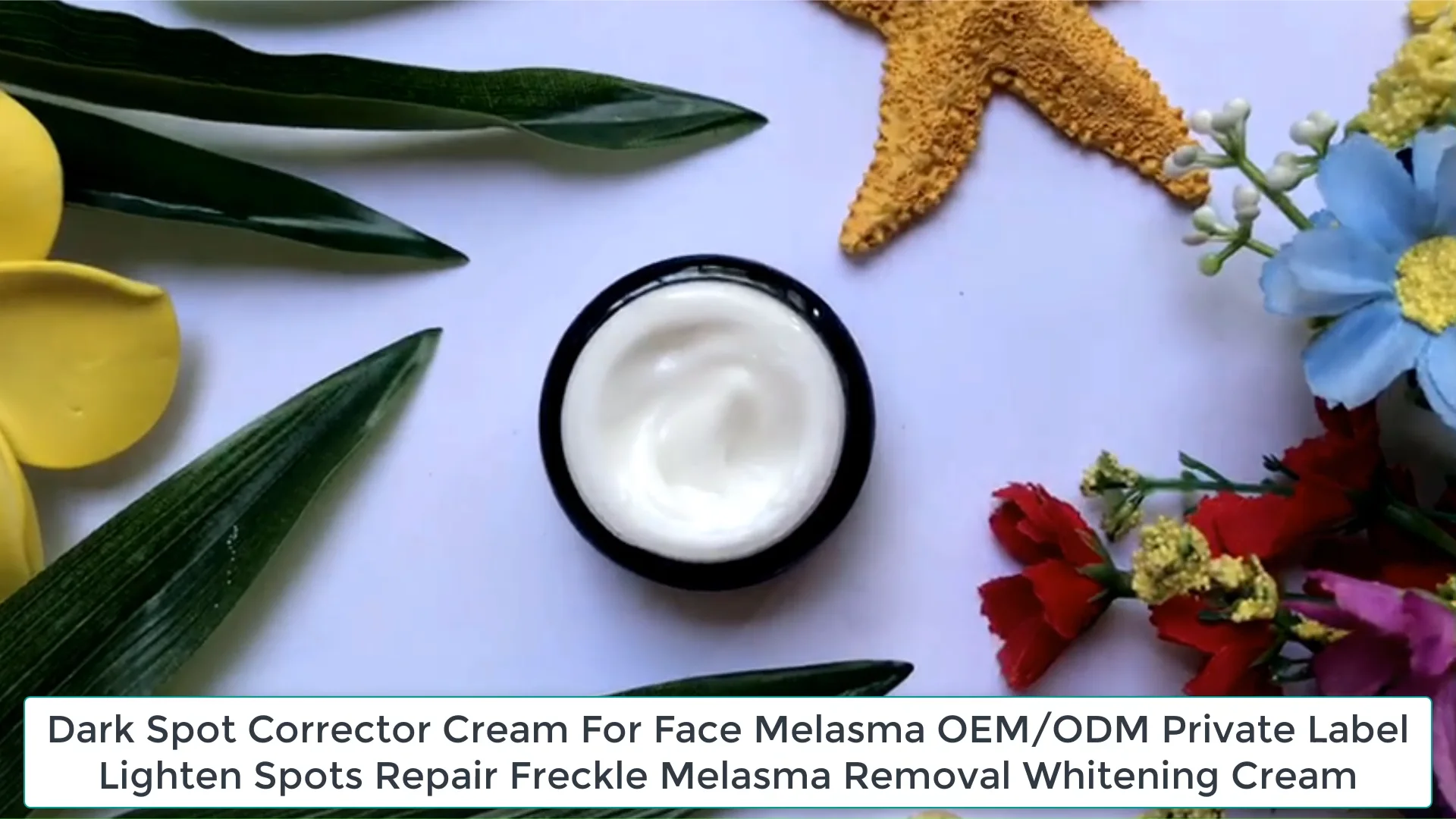 Dark Spot Corrector Cream For Face Melasma Oem Odm Private Label