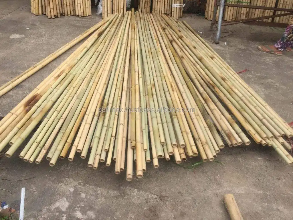 Bamboo Pole For Outdoor Fences Partitions Construction Vietnam