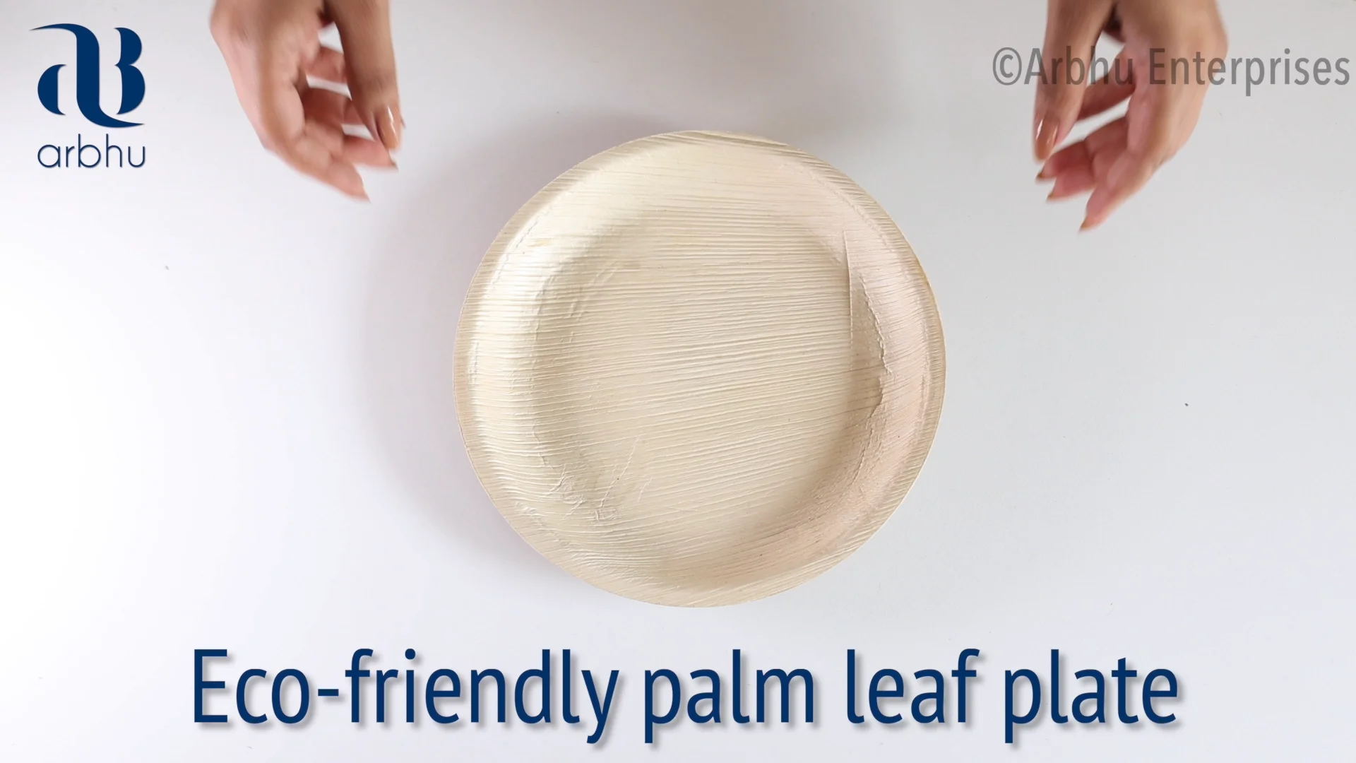 Eco Friendly Disposable Bamboo Plates Biodegradable Areca Palm Leaf