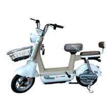 High Quality Wholesale Electric Bike with Multifunctional Remote Control Electric Bicycle 48v12ah/20ah 48V Rear Hub Motor 350W