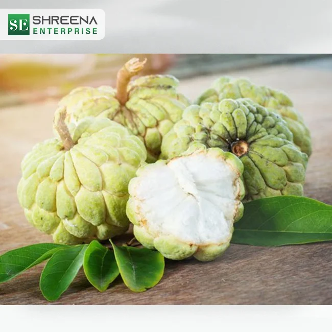 Freeze Dried Annona Reticulata Custard Apple Cubes Potential Uses Of