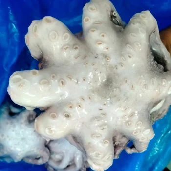OCTOPUS CLEANED IQF FROZEN