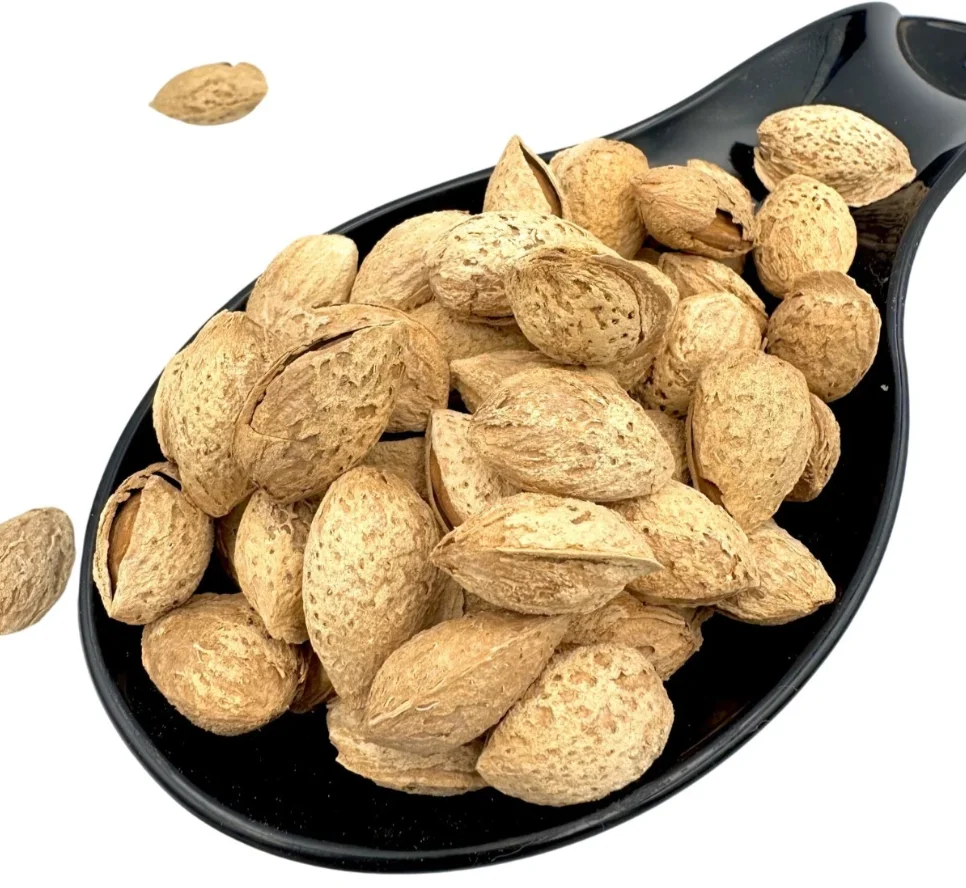 Wholesale Usa Raw Dry Fruits Almond Nuts in Bulk California Almonds
