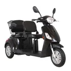 3 Wheel Trike 500W/800W Cheap Adult 3 Wheel Electric Scooter Trike Electric Pedal Tricycle With 2 Seat TC-021
