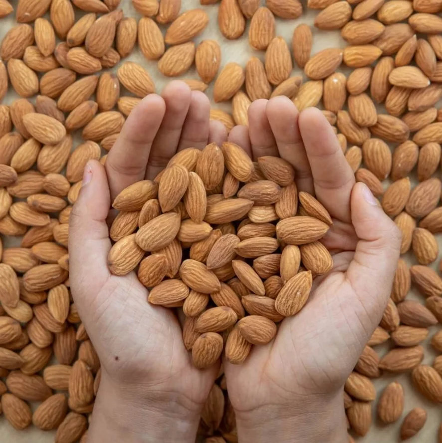 Wholesale Usa Raw Dry Fruits Almond Nuts in Bulk California Almonds