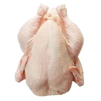 Premium Supplier Halal Frozen Whole Chicken Halal Chicken Processed Meat from INDIA