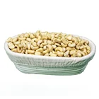 Raw Cashews Bulk Supplier in Vietnam Factory W320 Premium Cashews Wholesale Cheap Price