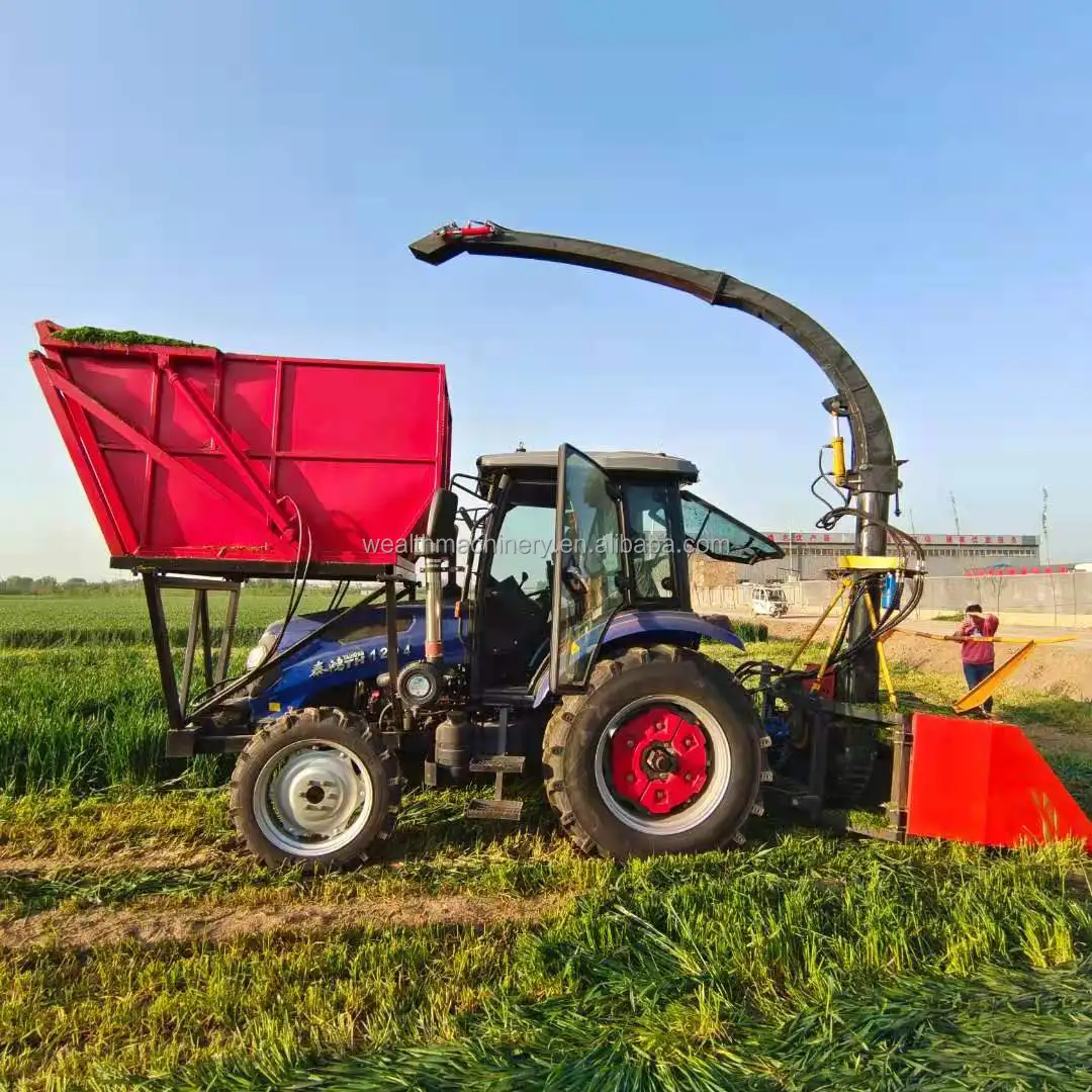 Double Rows Corn Stalk Silage Forage Harvester Machine Grass Forage