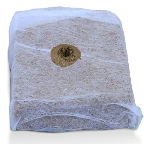 coco peat cubes