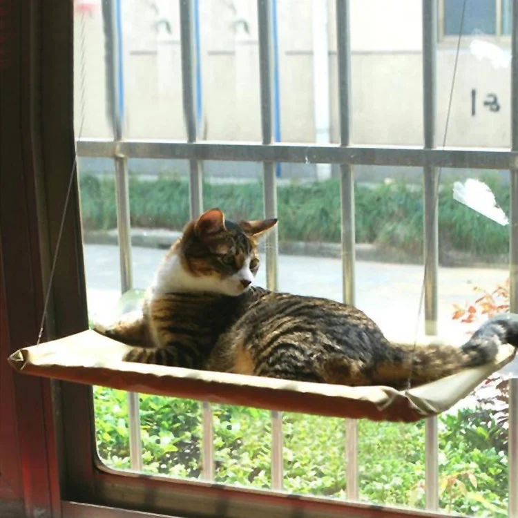 catnapper window perch