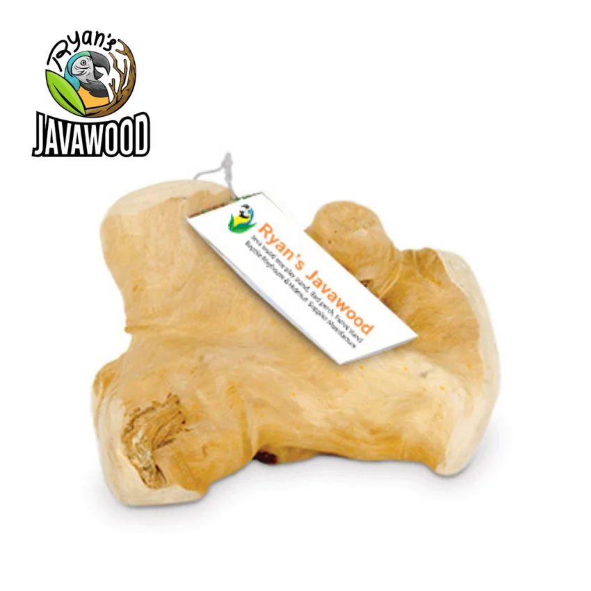 Are Bamboo Chews Safe For Dogs
