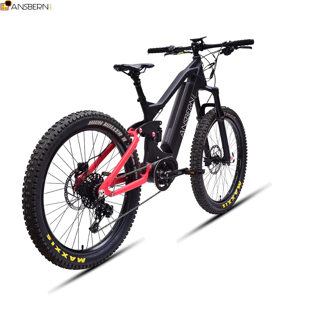 fat bike 1000