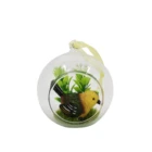 Plant Wall Plants And Succulents Cheap Artificial Succulent Plant Wall Glass Terrarium With Bird