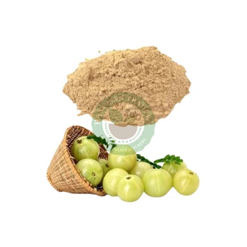 Top Indian Gooseberry Powder Amla Powder For Ayurvedic Medicine High Quality Amla Powder Exporter