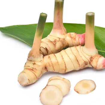 Top Selling Fresh Galangal TW6 Brand 12 Months Shelf Life Natural Color Single Spices & Herbs From Vietnam