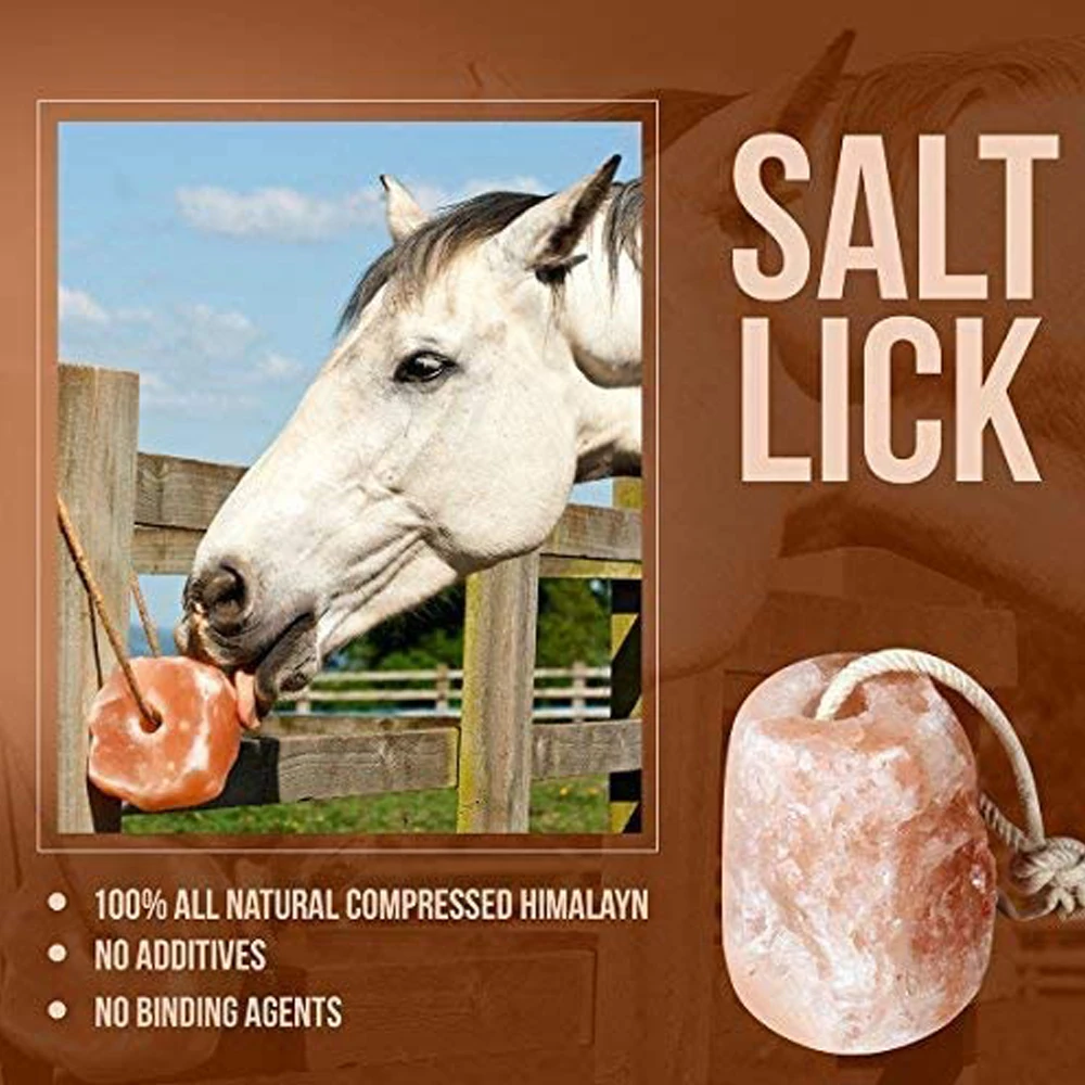 Home salt lick