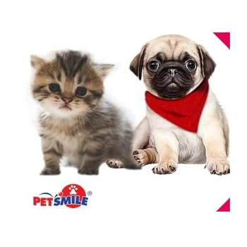 Pet Care OEM Malaysia cats and dogs grooming spray ear cleaner paw care mascotas FMCG