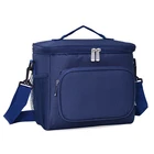 Liters Cooler Cooler Bag Insulated Lunch 10 Liters Large Insulated Cooler Bag Portable Lunch Box For Women Men Adult