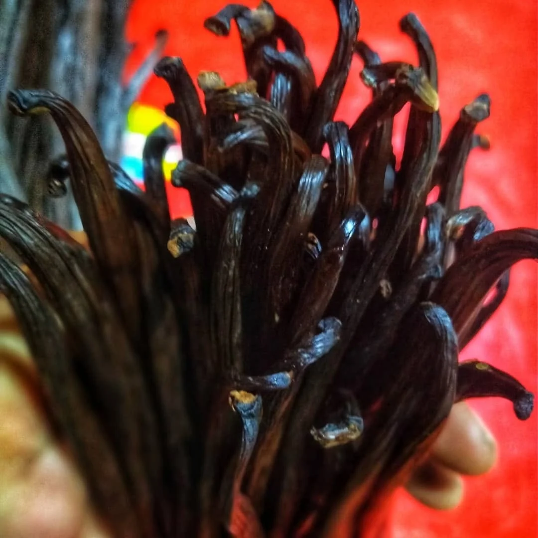 Alta qualidade 14 18cm Grade a Madagascar Vanilla Beans with Good Price Black Dark Style Weight