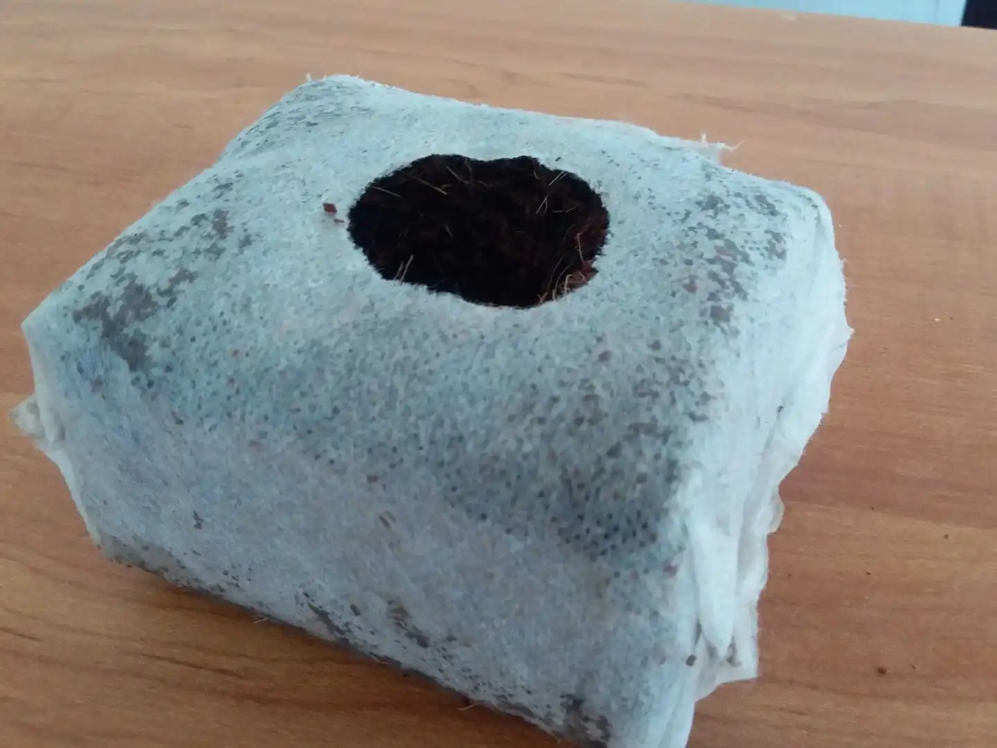 starter cubes