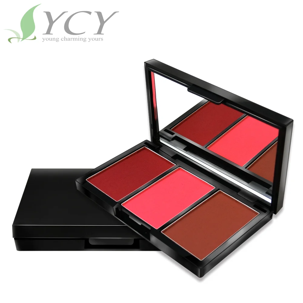 palette blush bronzer highlighter