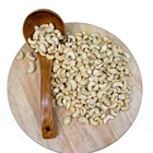 Bulk Wholesale W240 Cashews Bulk Supplier in Vietnam Factory W320 Premium Cashews Wholesale Cheap Price