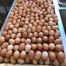 Fresh Chicken Eggs 2.jpg